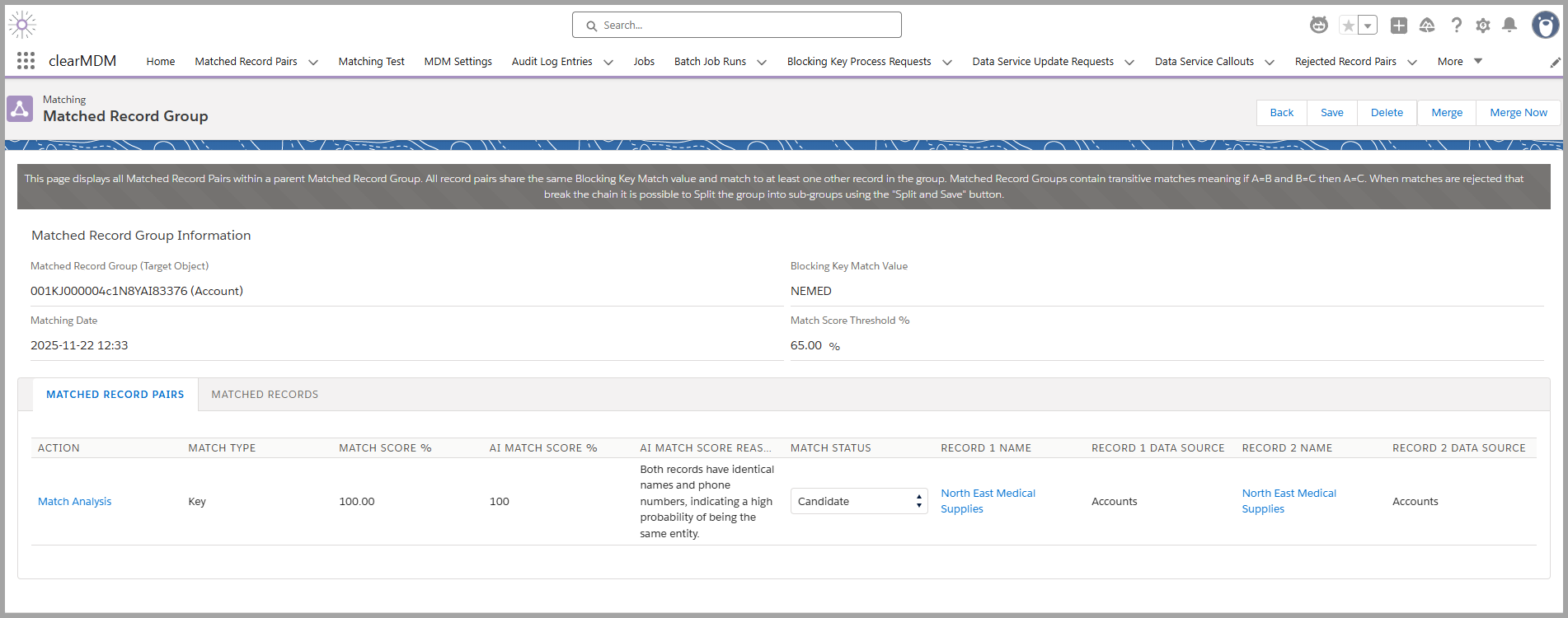 clearMDM Data Steward Agent 2