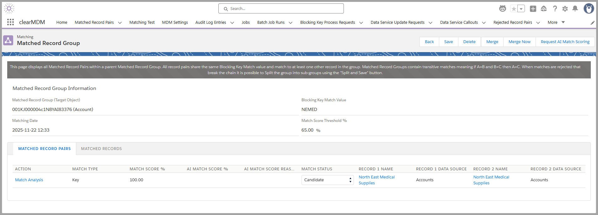 clearMDM Data Steward Agent