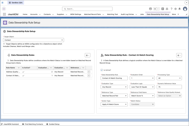 clearMDM - AI Data Stewardship - Data Stewardship Rules